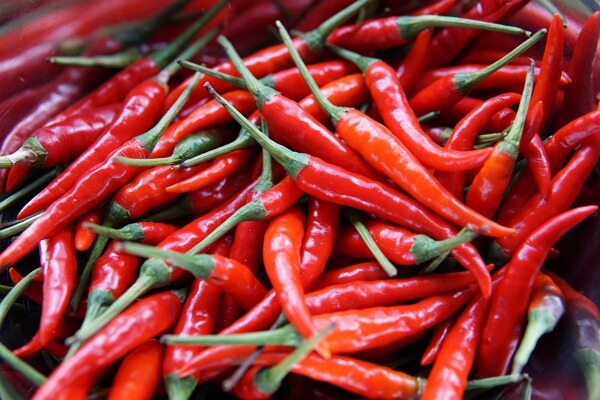 hot pepper