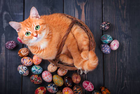 play easter egg