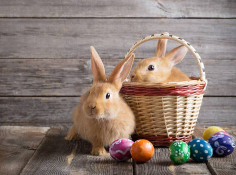 easter bunny