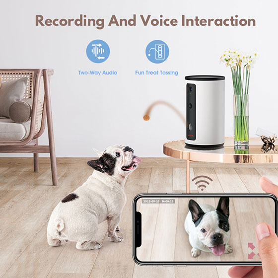 WOpet Dog Treat Camera Dispenser Dog Camera with Treat Interactive Toy丨Guardian