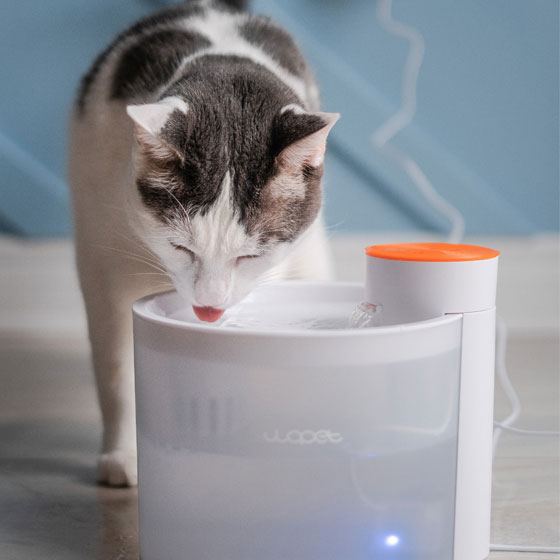 wopet glitter pet water fountain