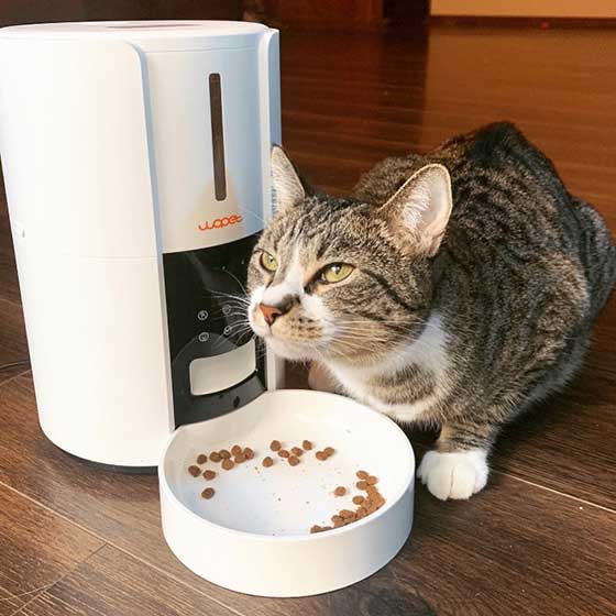 Pet07