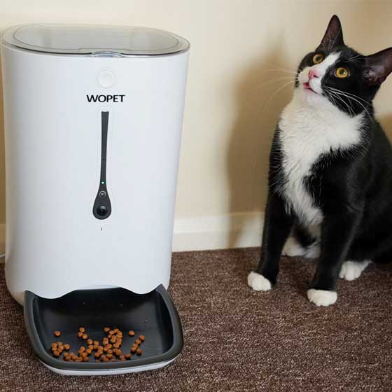 wopet automatic pet feeder with camera