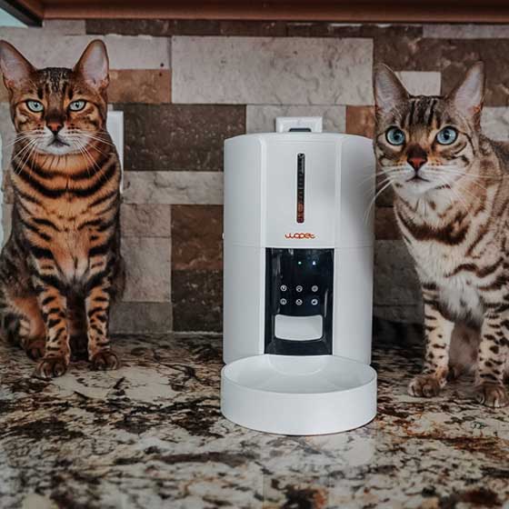 Pet06