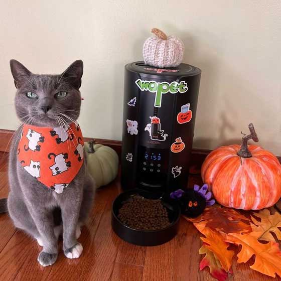 Pet20