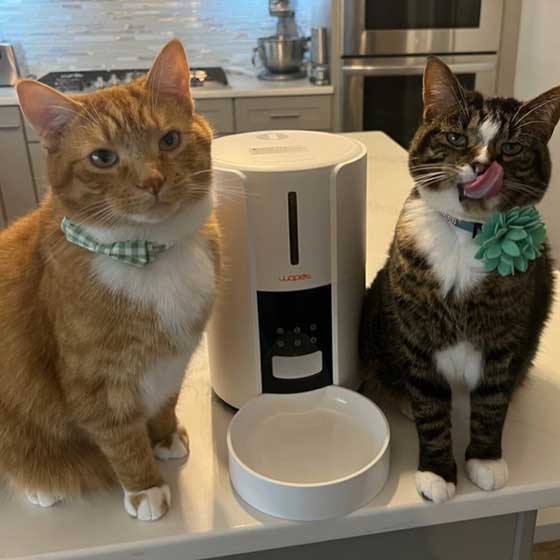 Pet09