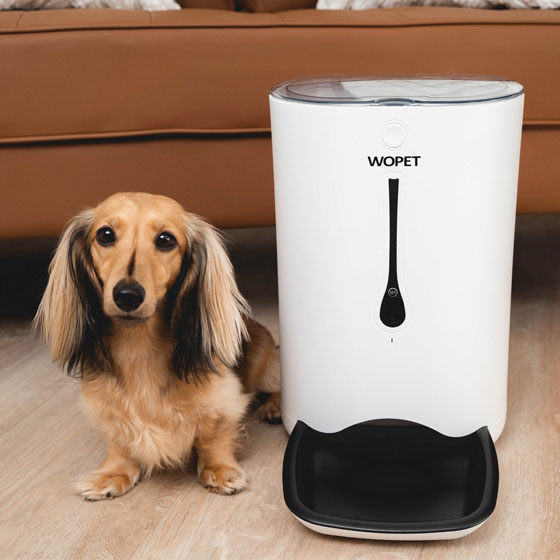 Pet01