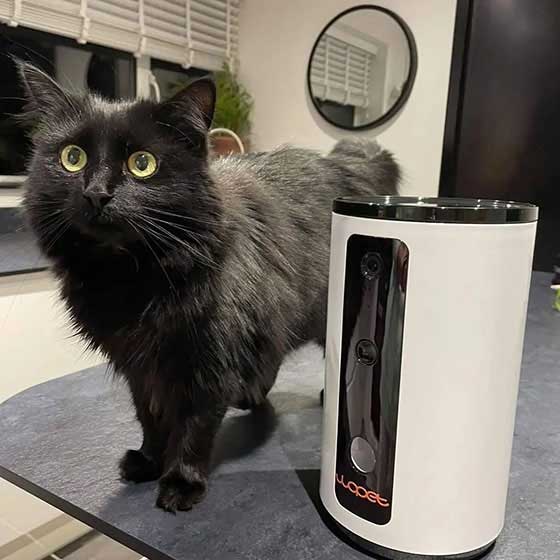 Pet24