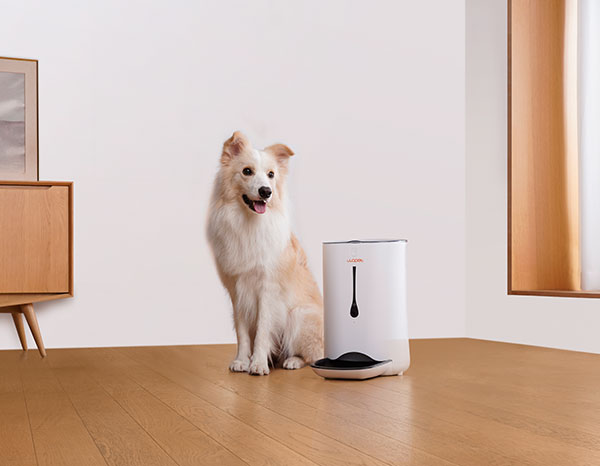 wopet cat automatic feeder