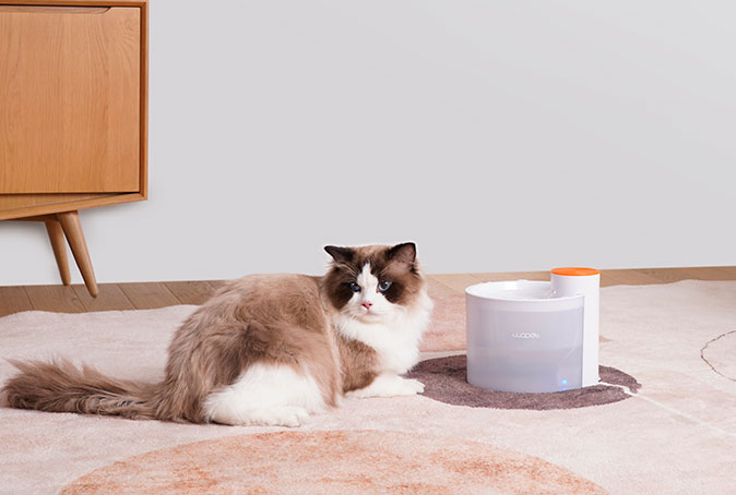 wopet glitter cat water fountain