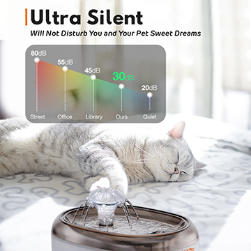 quiet water fountain