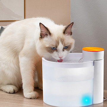 choose wopet cat water fountain