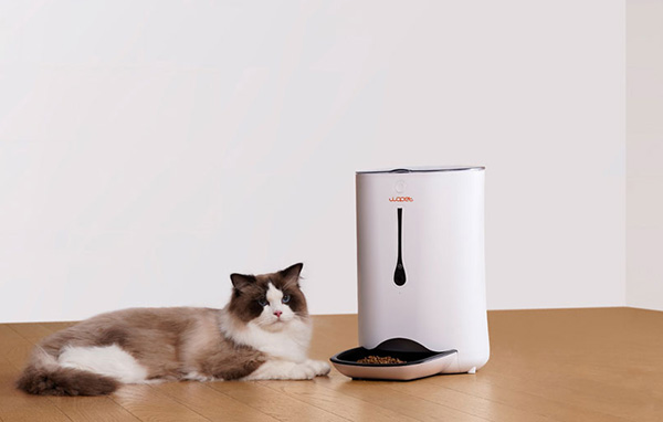 wopet automatic pet feeder