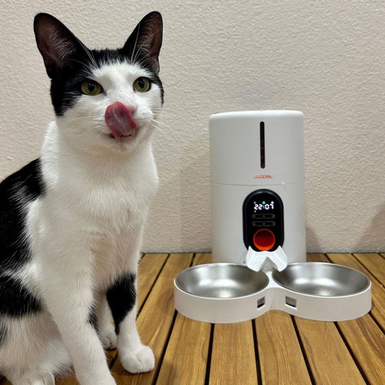 Pet30