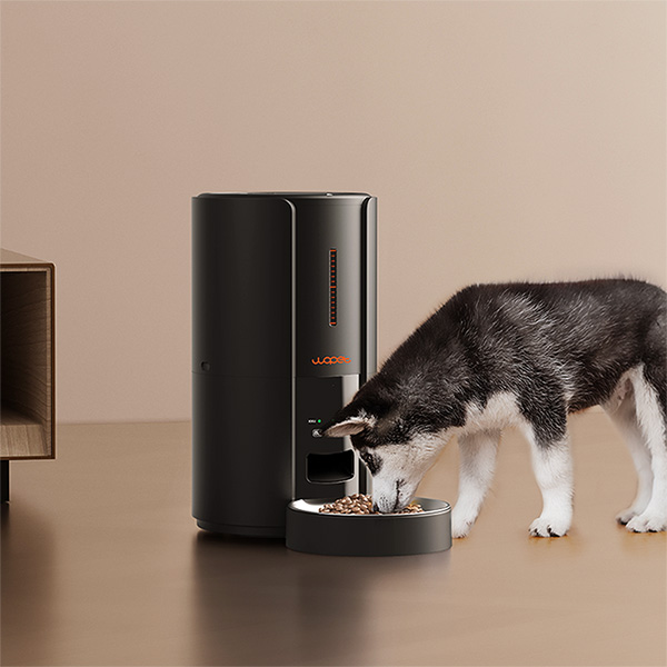 wopet automatic pet feeder