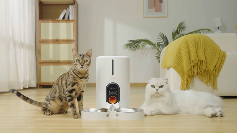 wopet automatic pet feeder