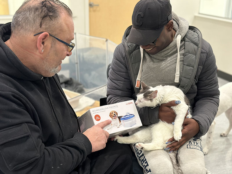 partnered with North Shore Animal League