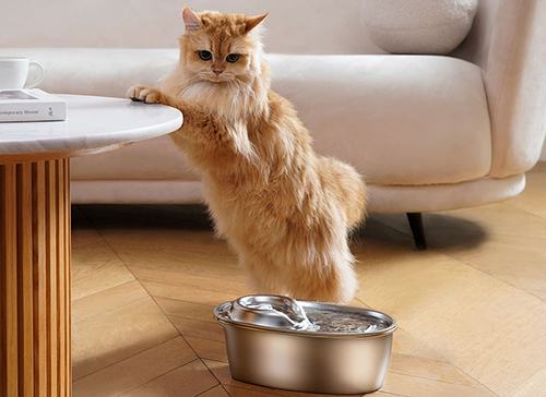 wopet cat water fountain