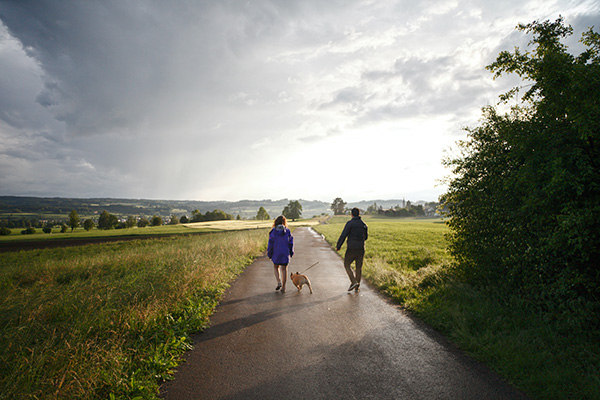 the average time to walk your dog