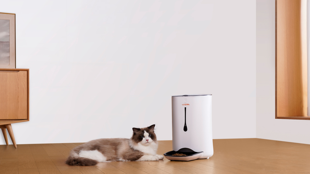 WOpet WiFi Automatic Cat Feeder with Camera