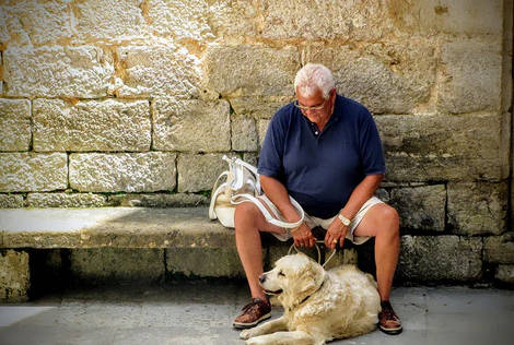 dogs get osteoarthritis