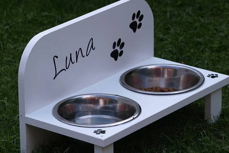 prepare water for your dog