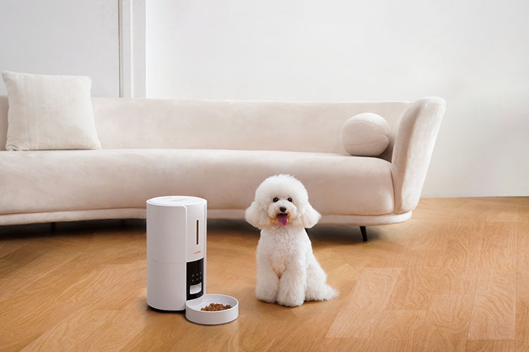 wopet castle pet automatic feeder