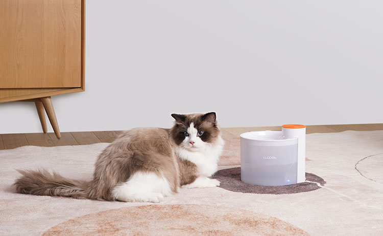 wopet glitter pet water drinking fountain