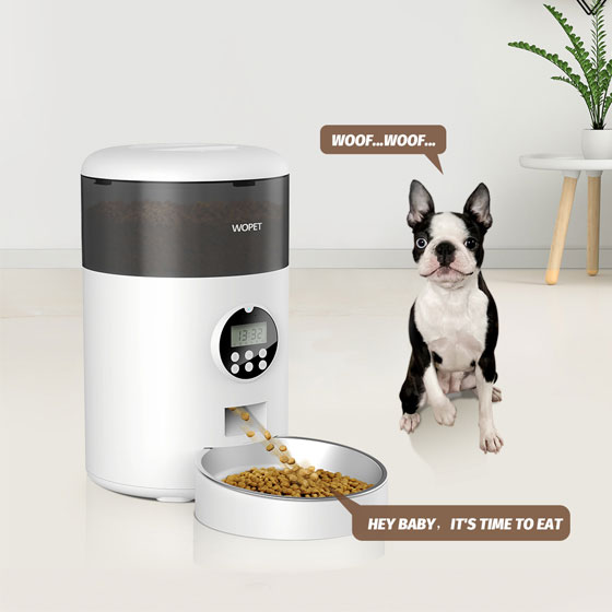 WOpet Automatic Pet Dry Food Feeder Timed Cat Food Dispenser丨Milo