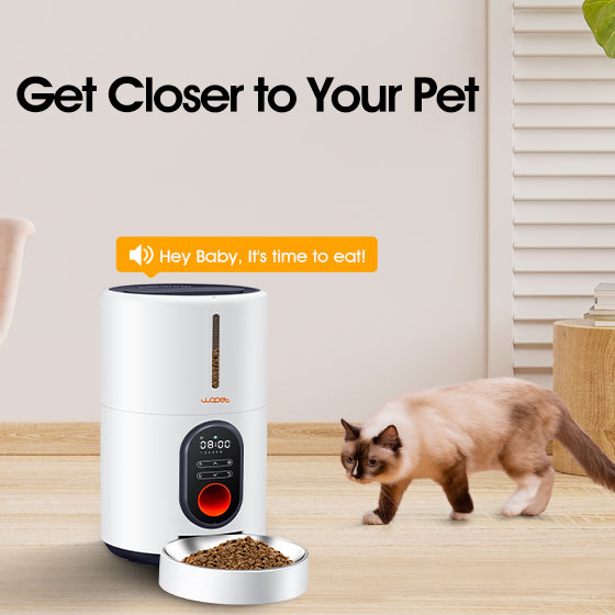 wopet barn automatic cat feeder