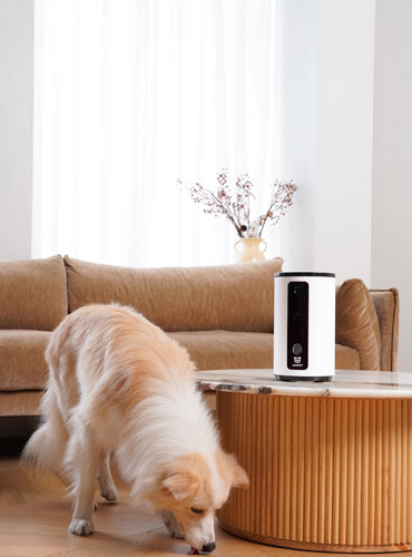 wopet dog interactive toys