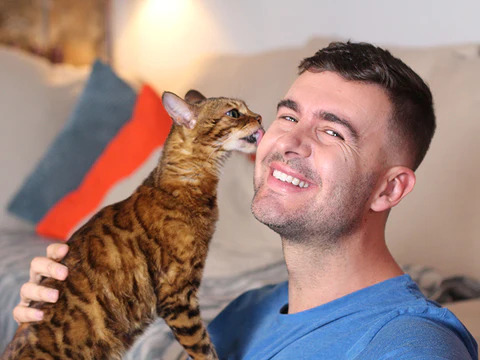 cat loves their owner