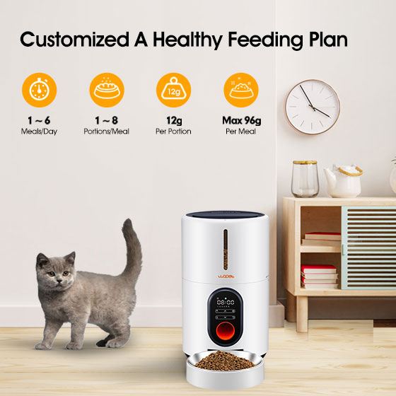 wopet barn automatic pet feeder