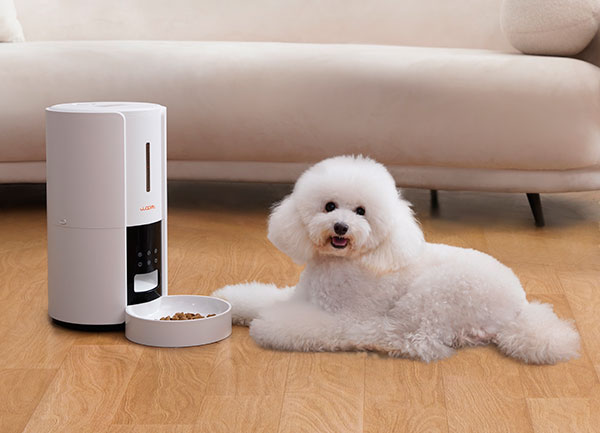 monitor your dog's feeding schedule