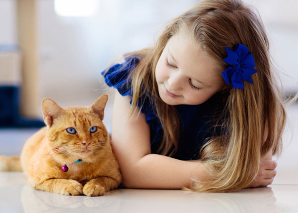 wopet barn pet feeder