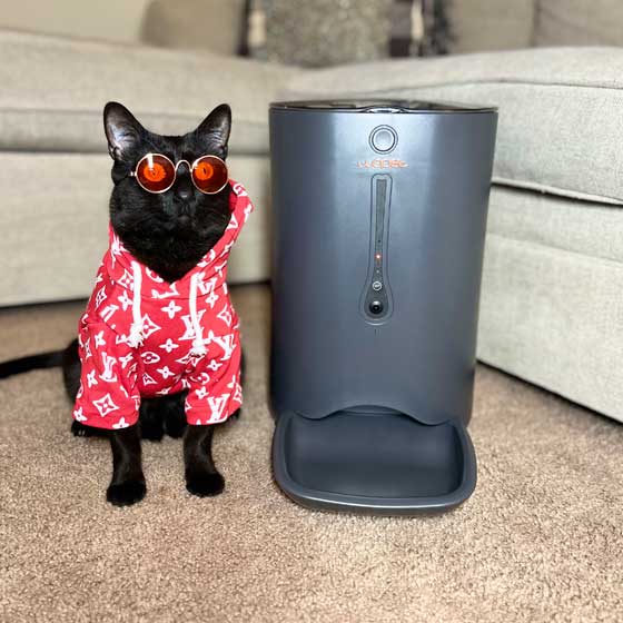 wopet auto feeder large capacity