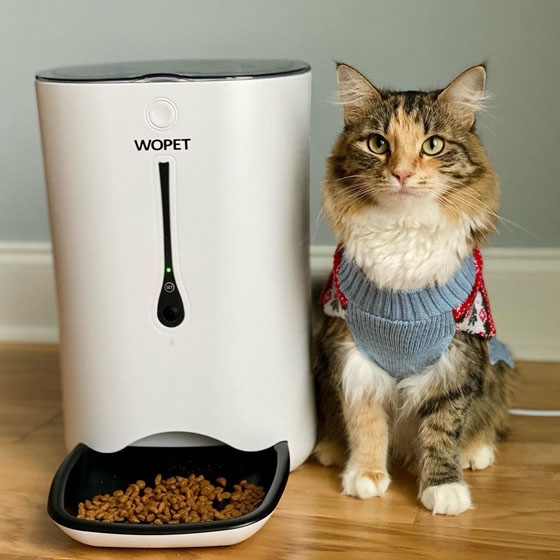 develop healthy eating habits