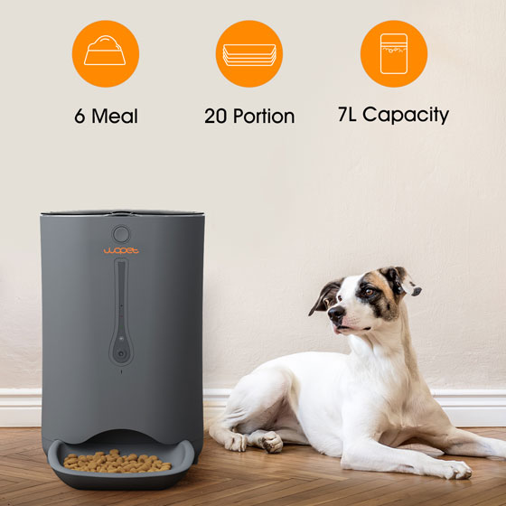 wopet dog automatic feeder