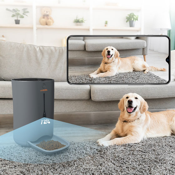 wopet dog auto feeder