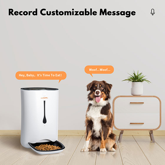 WOpet 7L Automatic Cat & Dog Timer Feeder Pet Food Dispenser丨Pioneer
