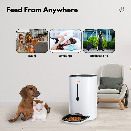 WOpet 7L Automatic Cat & Dog Timer Feeder Pet Food Dispenser丨Pioneer