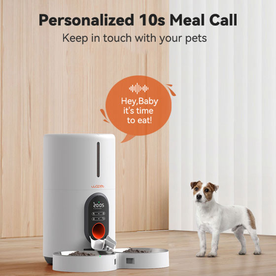 WOpet Barn Automatic Timed Feeder for Two Pets with Double Stainless Steel Bowls