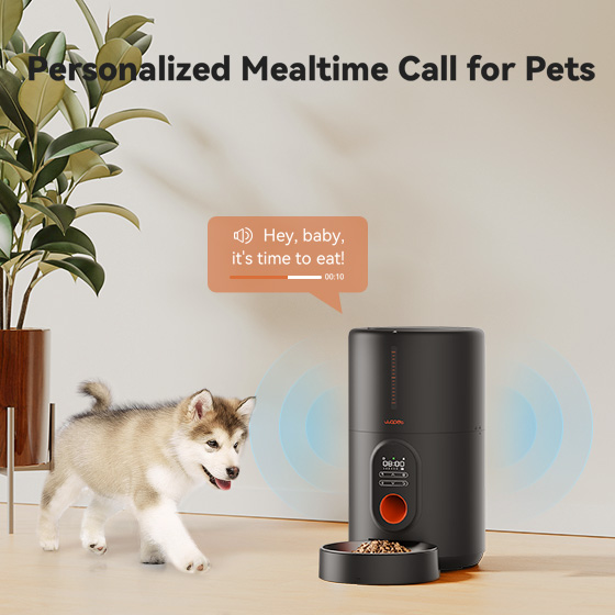 WOpet Barn Automatic Cat Feeder, Timed Pet Feeder with Interactive Voice Recorder