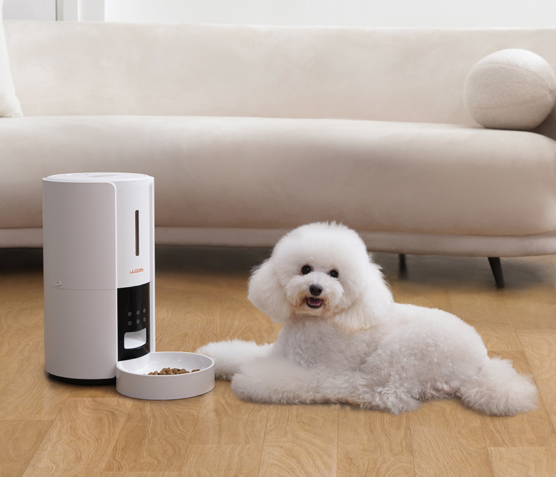 wopet auto cat feeder