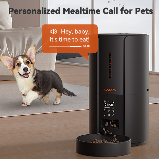 WOpet Automatic Pet Feeder Timed Cat & Dog Food Dispenser 5L丨Castle