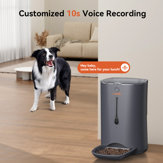 WOpet 7L WiFi Automatic Cat Feeder With Camera Dog Food Dispenser丨Pioneer Plus