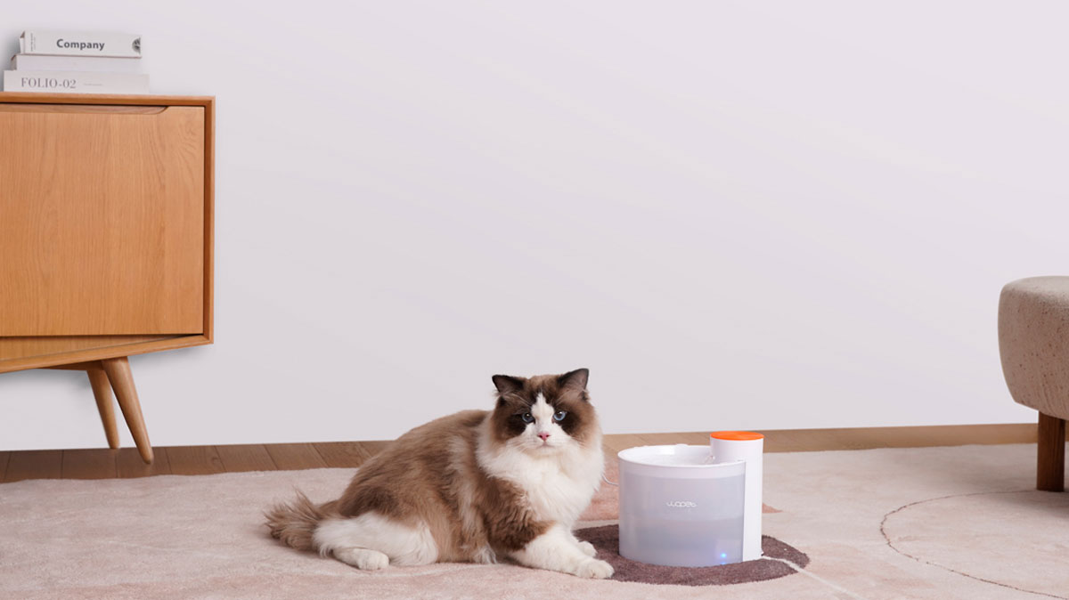 Make Your Pets Fall in Love with Drinking Water