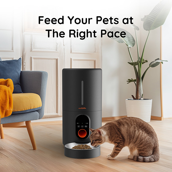 WOpet Heritage Air Smart Pace Feeder