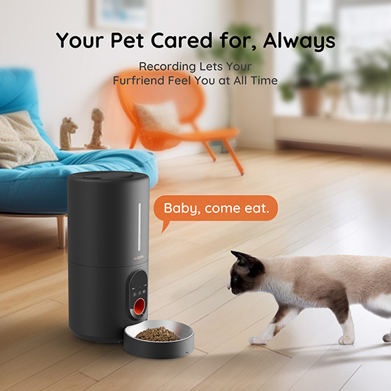 WOpet Heritage Air Smart Pace Feeder