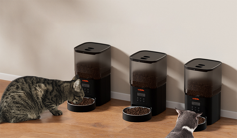 pet feeders can be placed anywhere